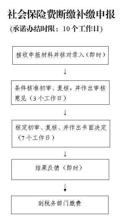 2022柳州社会保险费断缴补缴办理指南