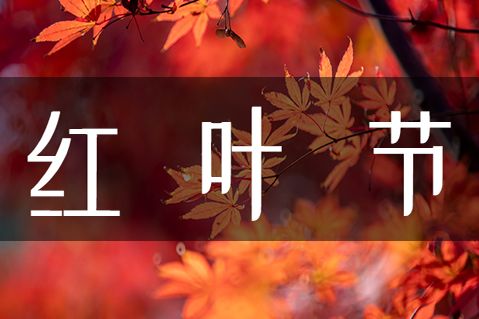 武汉文华学院红枫叶观赏攻略