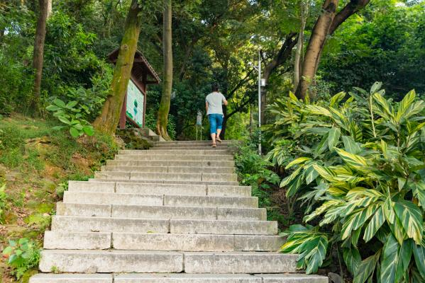 深圳凤凰山可以开车上山顶吗