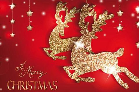 武汉圣诞节圣诞树位置汇总2025（持续更新）