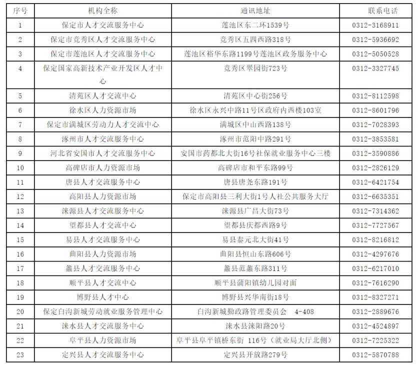 保定人才招聘网：连接梦想与机遇的新桥梁