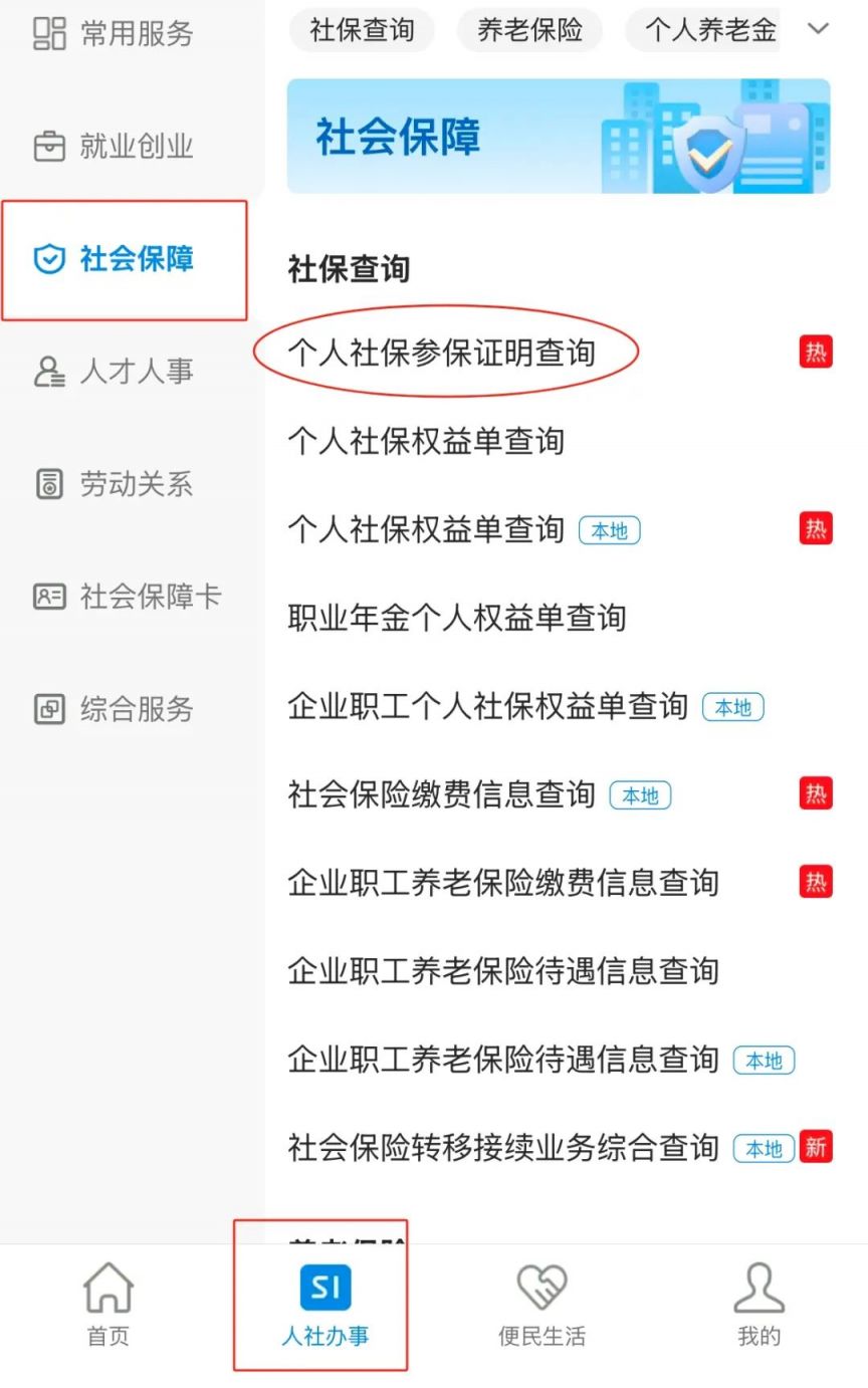 保定养老保险查询指南