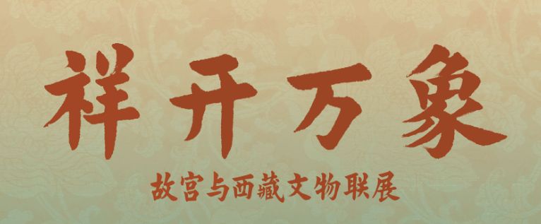 新时代的我们小草回家