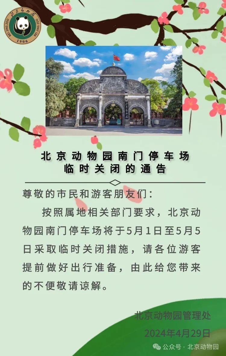 Spa说手撕鸡是什么意思