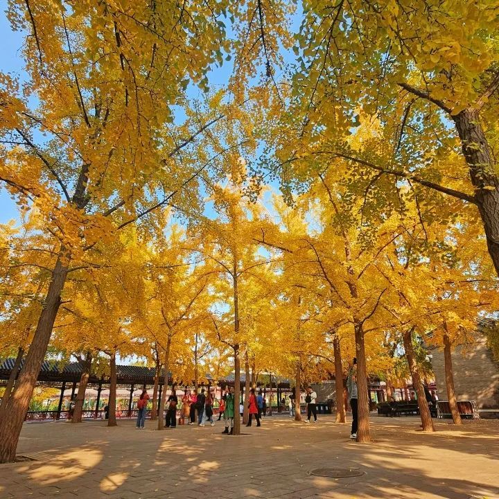 阳江中山公园对面小巷子