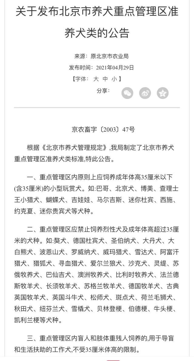 哪些犬在北京禁养?