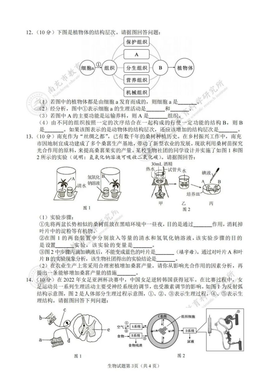 2023年南充市中考各科考试试题及参考答案