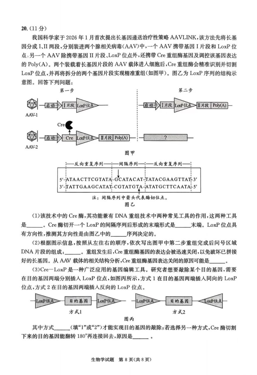 2026年成都二诊生物试卷+答案