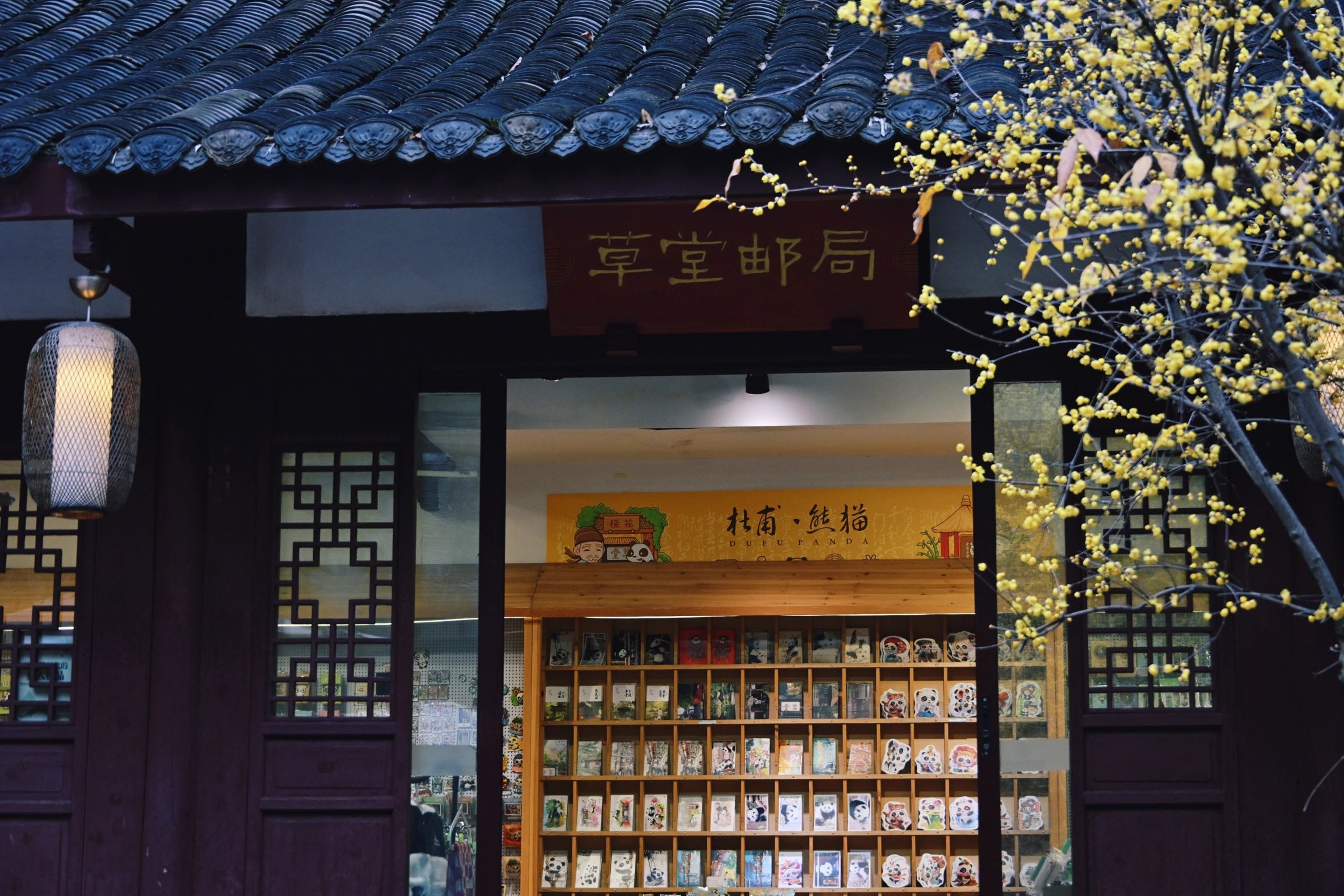 2026成都蜡梅最佳观赏期+点位