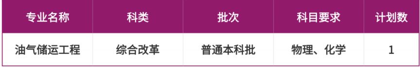 2025重庆科技大学招生计划（各省市）