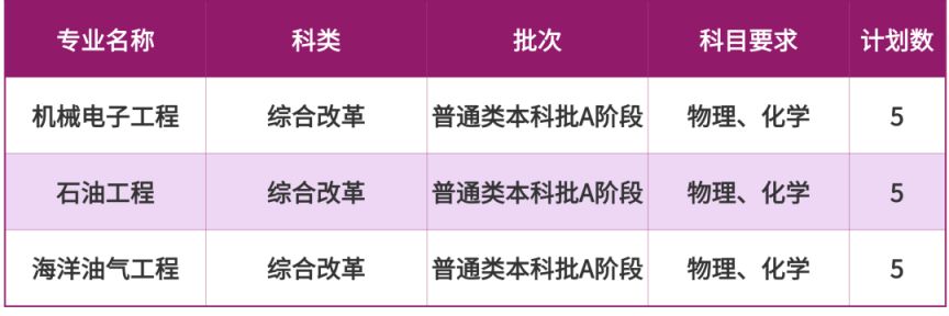 2025重庆科技大学招生计划（各省市）