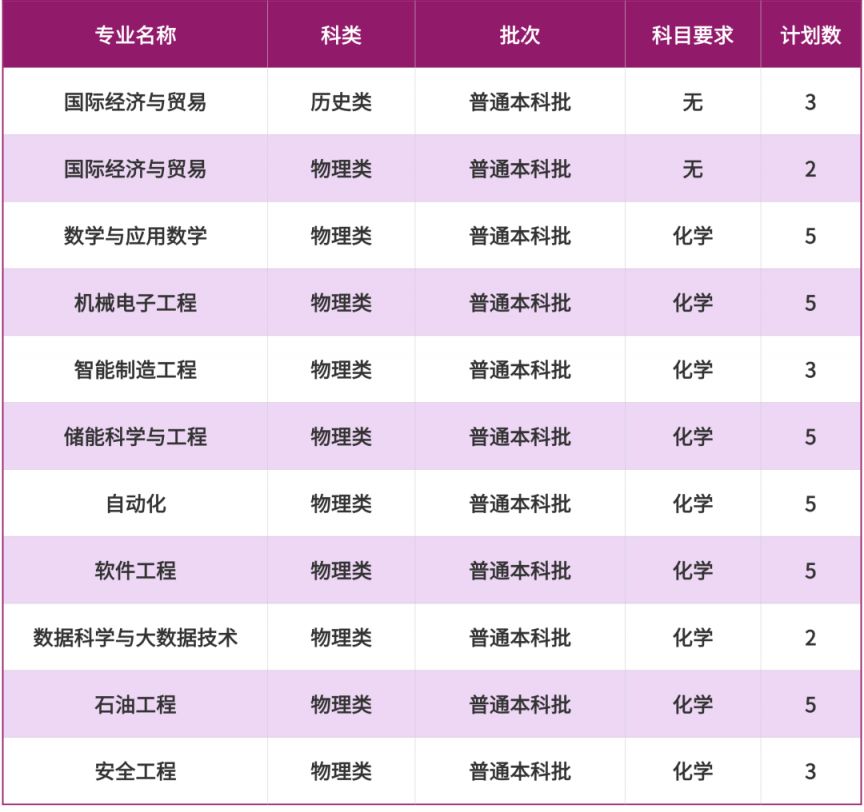 2025重庆科技大学招生计划（各省市）