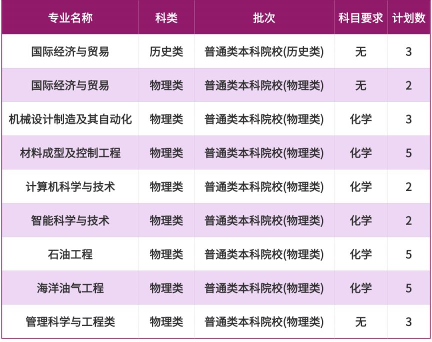 2025重庆科技大学招生计划（各省市）