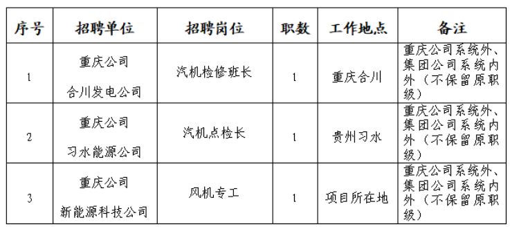 国家电投集团重庆公司招聘3人公告