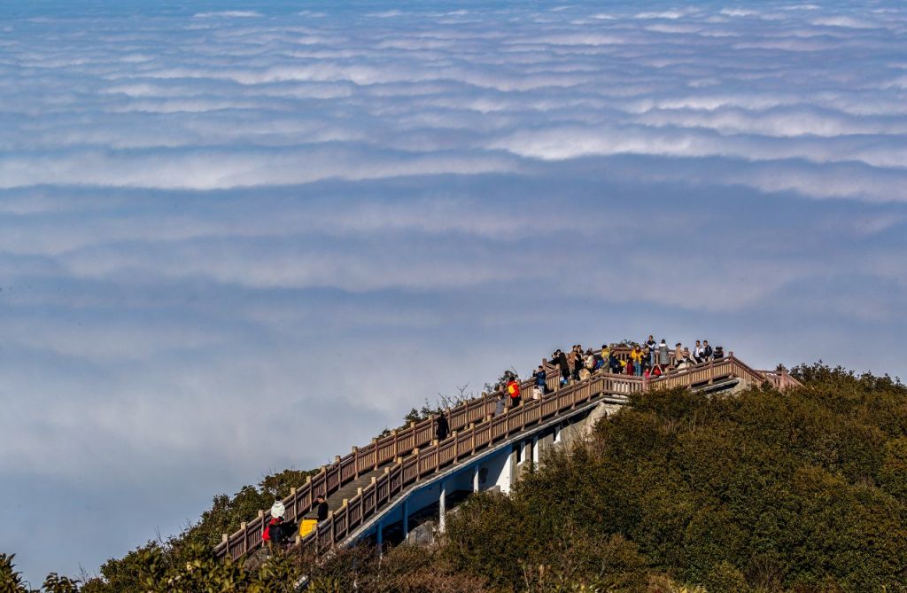 重庆金佛山景区在哪里？（附乘车 自驾路线）