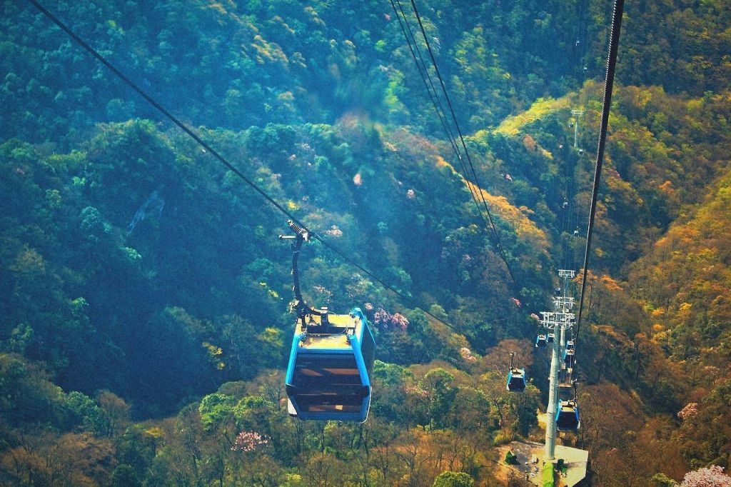 重庆金佛山风景区旅游攻略（门票 景点介绍 路线）