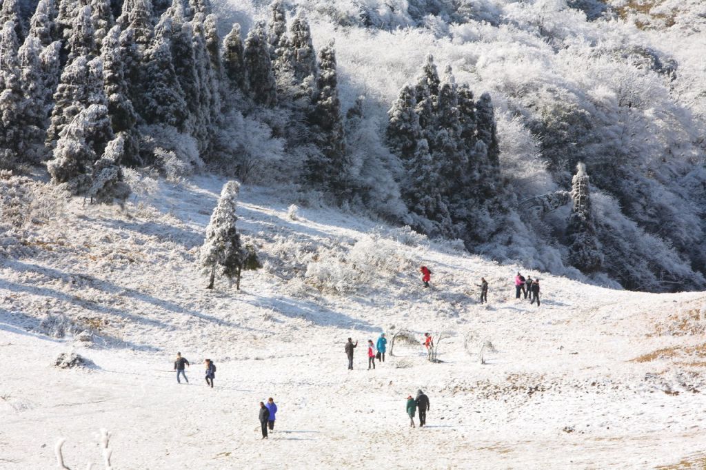 重庆金佛山风景区旅游攻略（门票 景点介绍 路线）