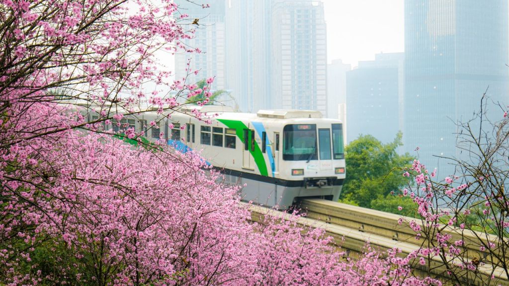 2024重庆开往春天的列车最佳路线 打卡点