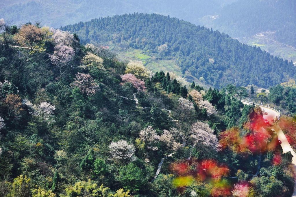 2024重庆渝北云龟山游玩攻略（地址+门票+路线）(图1)