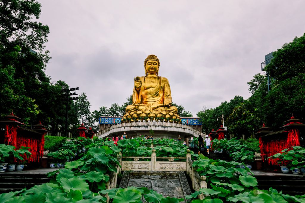 重庆九龙坡区免费景点盘点(地点 攻略)