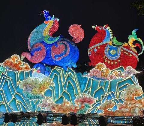2026重庆园博园灯会实拍图