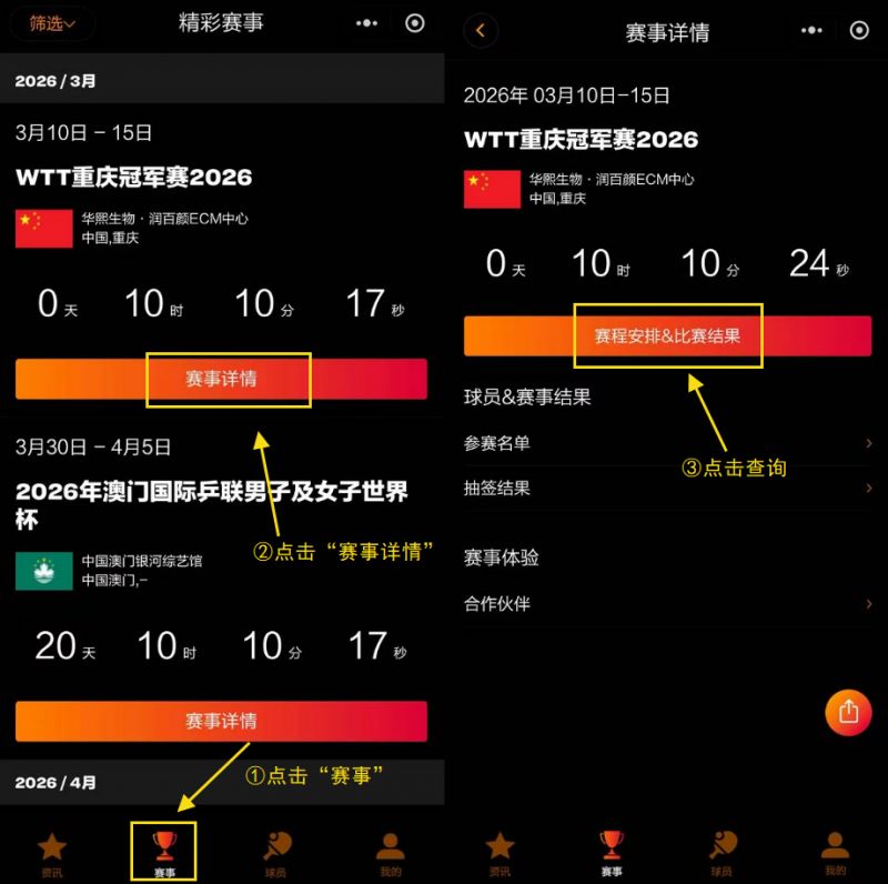 2026wtt重庆冠军赛比赛结果查询入口
