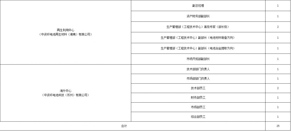 2026中国资源循环集团电池有限公司招聘公告