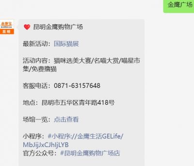 猫咪世界里的快乐玩具
