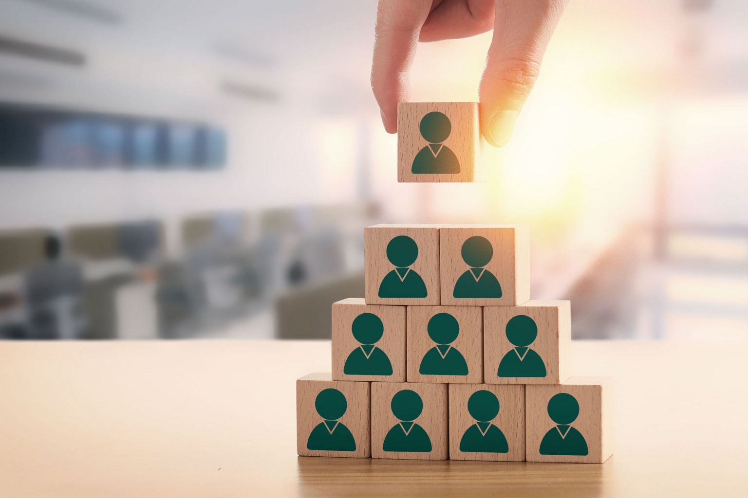 2026泰州海陵区新春大型招聘会时间地点安排