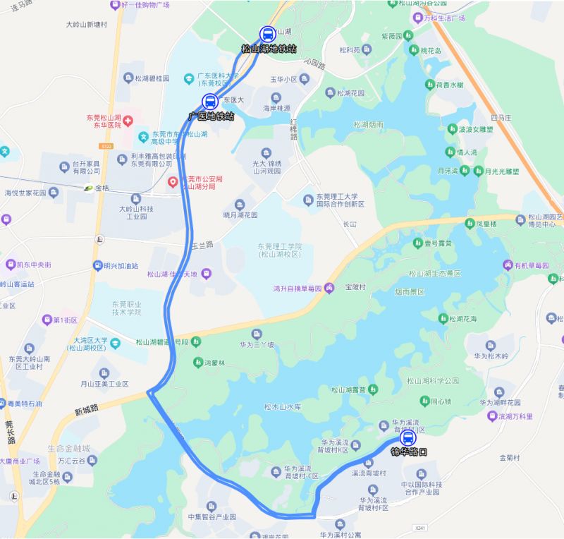 2026东莞松山湖赏花月临时公交接驳专线调整