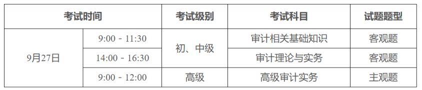 2025年度审计专业技术资格考试报考指南