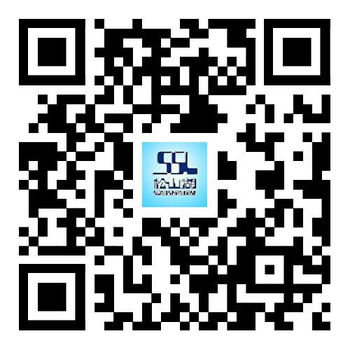 2025东莞松山湖招生入学申请积分确认与复核指南