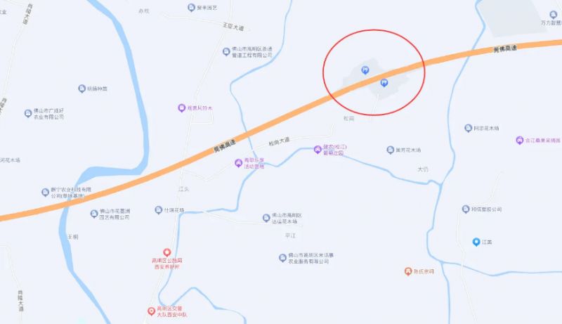 2026年佛山春运出行高峰与返程高峰在什么时候_