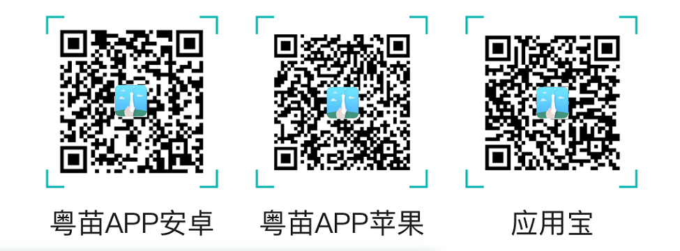 顺德北滘二价HPV疫苗预约入口及流程