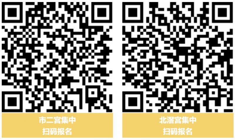 2026佛山市青少年文化宫研学活动安排+报名入口