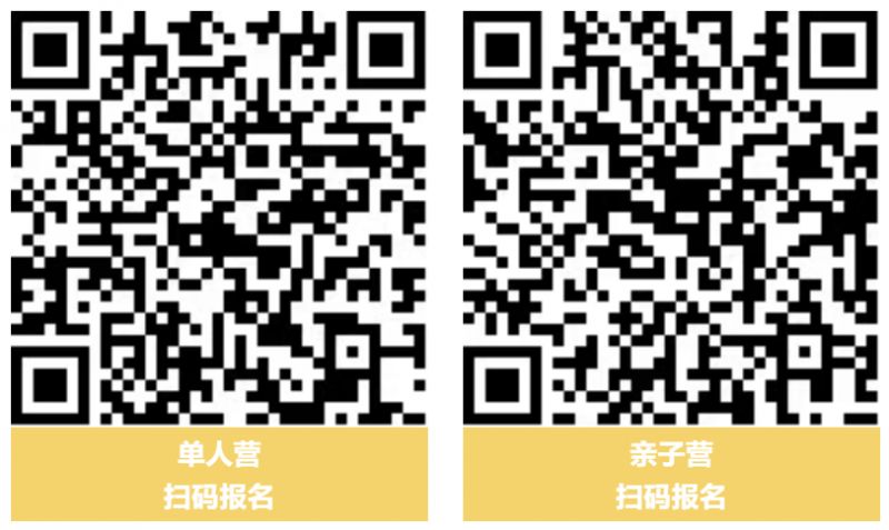2026佛山市青少年文化宫研学活动安排+报名入口