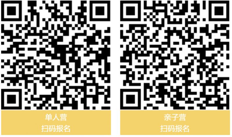 2026佛山市青少年文化宫研学活动安排+报名入口