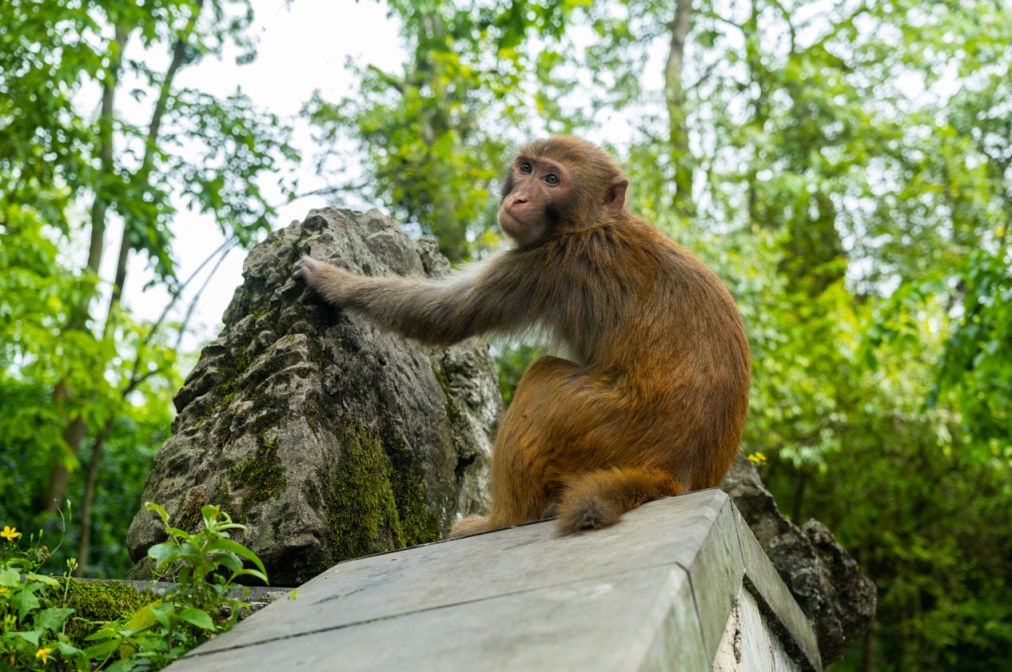 2026年贵阳清明节旅游必去的10大景点推荐