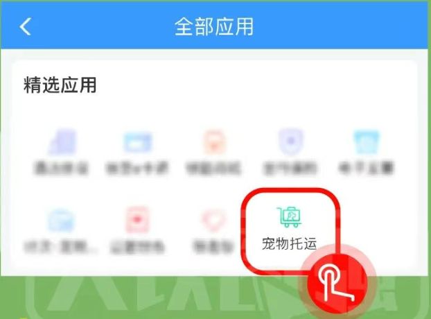 2025广州高铁宠物托运怎么办理（托运流程）