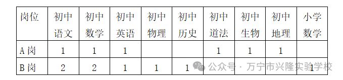 万宁市兴隆实验学校师资选聘（岗位+报名+条件）