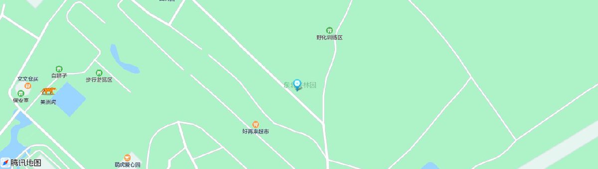 黑龙江东北虎林园怎么去？