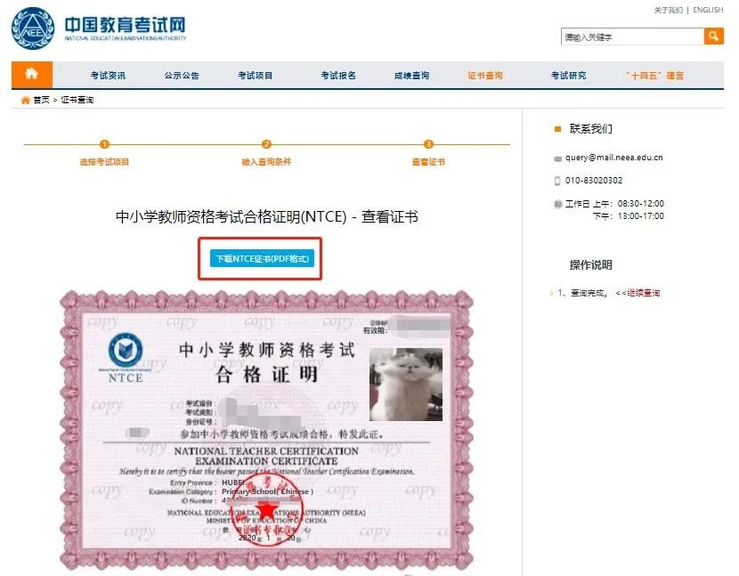 全国中小学教师资格考试ntce合格证明查询入口