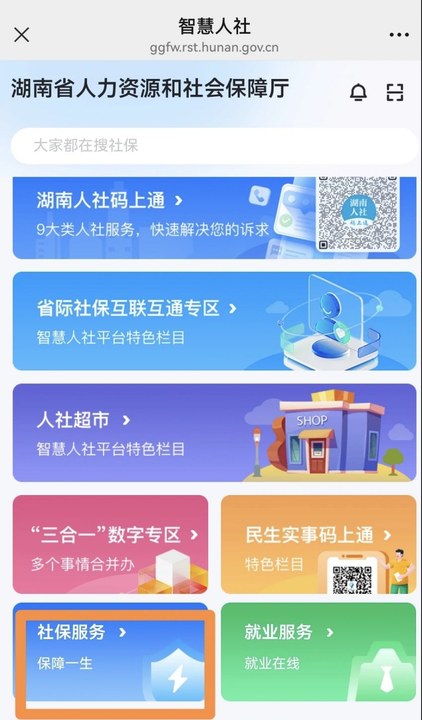 2025衡阳养老保险能不能在手机上补缴