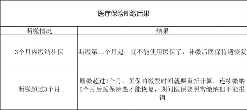 社保小贴士:个人社保查询的便利与未来趋势