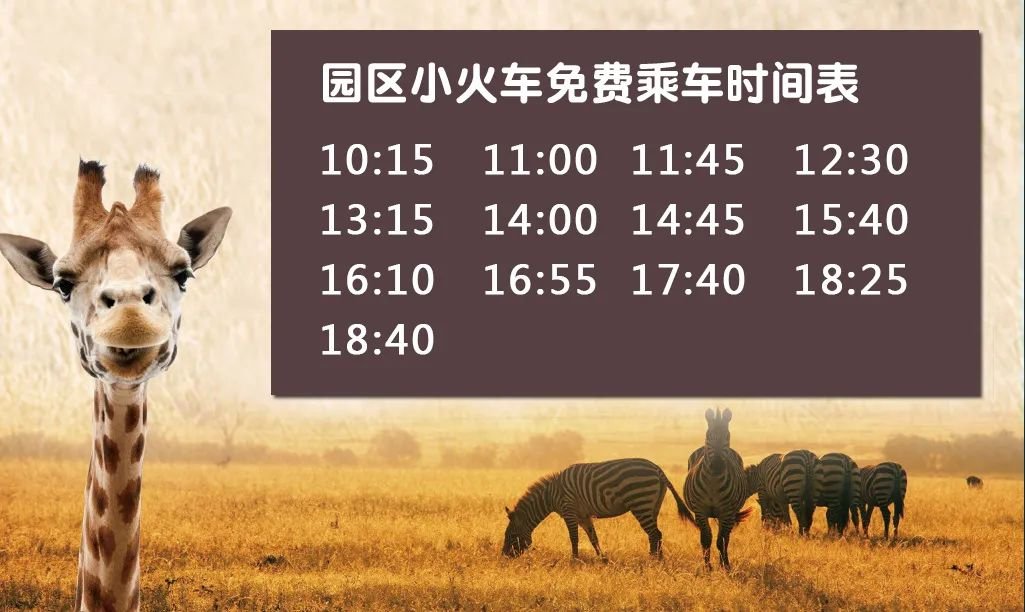 杭州野生动物世界自驾与不自驾区别