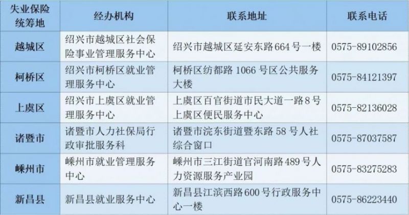 新昌招聘信息：精准把握就业机会