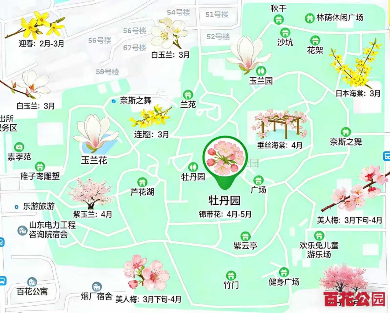 2026济南百花公园赏花路线