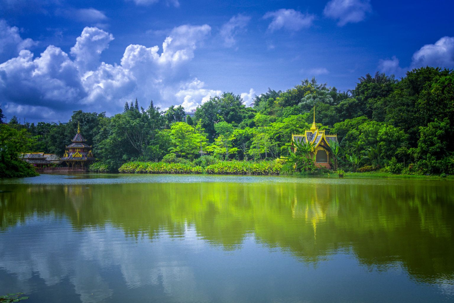 西双版纳州a级旅游景区名单(持续更新) 西双版纳州a级旅游景区名单