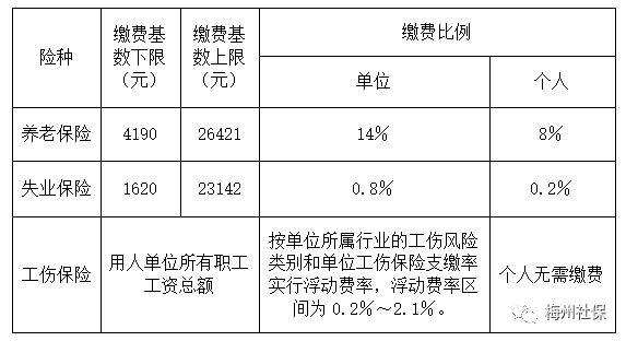 23年梅州职工社保缴费标准调整