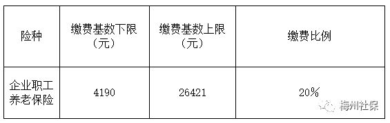 23年梅州职工社保缴费标准调整